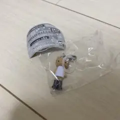 HELLO KITTY あしながめじるしアクセサリー　日焼け