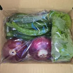 夏野菜と自宅飼育鶏卵詰合せ(60サイズ)のサムネイル
