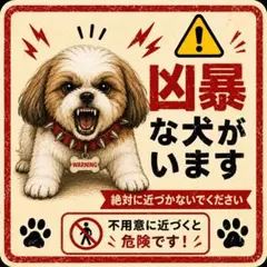 耐水ステッカー　シーズー　凶暴な犬がいます　注意　かわいい　ステッカー　犬