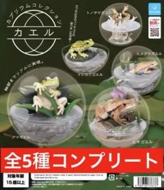 Item thumbnail for item 138f345d-b807-4b70-a181-c9271e35483b