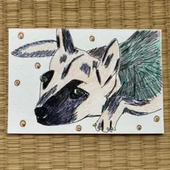 手描きイラスト 原画 犬 動物一点もの