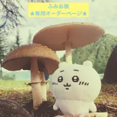 ★ふみおさま専用キーホルダーオーダーページ★