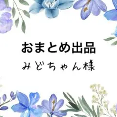 みどちゃん様 リクエスト まとめ商品　14点
