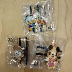 ディズニーシー アブー ミニー ピンズ ピンバッジ ドナルドデイジー チャーム