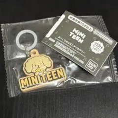 miniteen ぷっくりめじるしアクセサリー DOA ドギョム