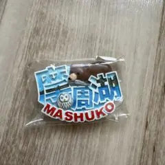 摩周湖 MASHUKO マグネット ご当地 お土産