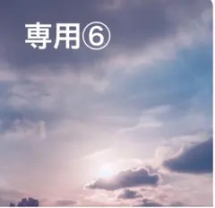 専用⑥
