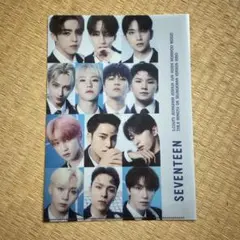 SEVENTEEN 各メンバーセット　バインダー、バインダー用のトレカセット さくらんぼ】【桃】の可愛い3穴リングトレカバインダー✨トレカ