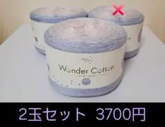 春夏毛糸 ユザワヤ ワンダーコットン 8番 2玉セット