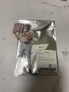 2026年最新】村林一輝の人気アイテム - メルカリ