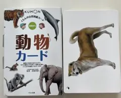 【KUMON】動物カード 知育教材
