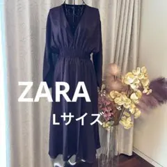 Item thumbnail for item 54e1366c-65b8-4e30-9042-1ef37101ab49