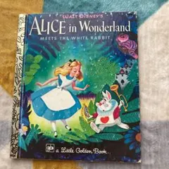 Item thumbnail for item 63fea575-5b4b-4200-a13b-88da0dd97757