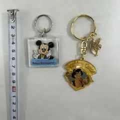 ディズニーランド　キーホルダー