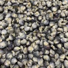 ぽんた様 リクエスト 3点 まとめ商品