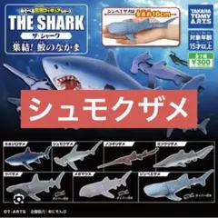 ガチャ　ザ・シャーク　集結！鮫のなかま　シュモクザメ
