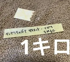 Item thumbnail for item 2c5a4462-b721-4b47-92b2-da77c6c1ff18