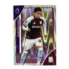 Item thumbnail for item 63255fd5-c0b5-46d3-8c44-38f2e7e1216d