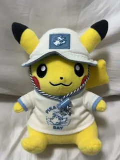 2025年最新】レジャースタイルのピカチュウの人気アイテム - メルカリ