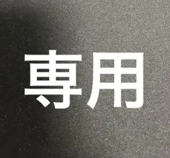 専用出品