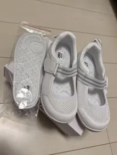 Item thumbnail for item 1b5a47b5-ca37-4581-953c-fcdcebde1b88