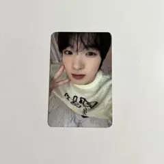 nct wish サクヤ タレントカード