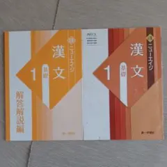 ニューエイジ 漢文 1 基礎　　解答解説編付き