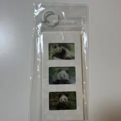 2026年最新】中秋の人気アイテム - メルカリ