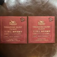 TREASURE HUNT TICKET 施設利用券　SAGASO石和のサムネイル