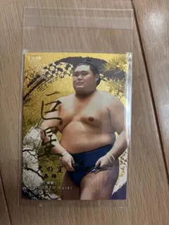 Item thumbnail for item b6fec6e5-38f6-490d-a73a-30d45bf351ae