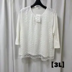 xl~3xl トップ
