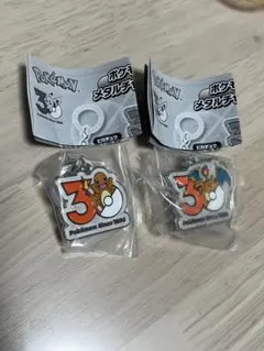 ポケモン 30周年記念　メタルチャームマスコット　ヒトカゲ　リザードン　セット