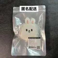 スキズ リノ ぬいぐるみ リニャンイ Lee Know 리노 スキズ リノ ぬいぐるみ リニャンイ Lee Know 리노 - アイドル