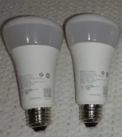 Philips Hue フルカラー 1600lm 2本セット