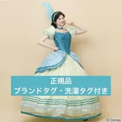 2026年最新】シークレットハニー シンデレラの人気アイテム - メルカリ