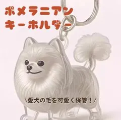 EVH様 リクエスト 2点 まとめ商品