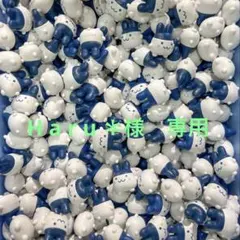 H a r u ＊様　専用