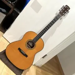 大幅値下げしました】Aria MM-85 マカフェリギター - メルカリ