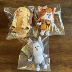 【人気商品】まめきちまめこ マスコット　キーホルダー　ストラップ　しまむらのサムネイル
