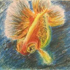 自作クレヨン画　金魚