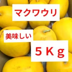 マクワウリ　美味しい　5Kgのサムネイル