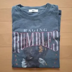 WEGO RAGING RUMBLES Tシャツ グレー M