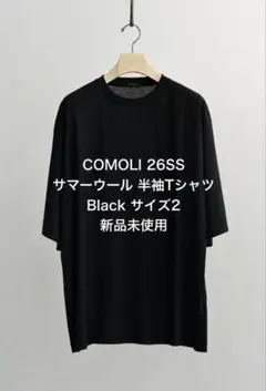 2026年最新】COMOLI カラー：ブラック系 メンズ Tシャツの人気アイテム