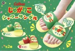 2025年最新】プロフ必読の人気アイテム - メルカリ