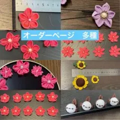 多種オーダー専用ページ