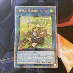 2025年最新】蒼翠の風霊使いウィンの人気アイテム - メルカリ