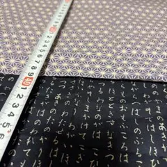 布 生地 はぎれ 和柄 2枚セット