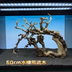 MJW-7714 ジンジャーウッド 3本セット 天然流木 アクアリウム - メルカリ