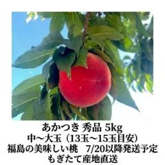 お得】農家直送!! 完熟マンゴーおまかせパック クール宅急便 - メルカリ