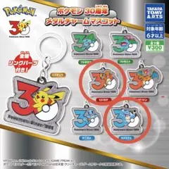 【新品未開封】ポケモン30周年メタルチャームマスコット ヒトカゲ＆カメックス